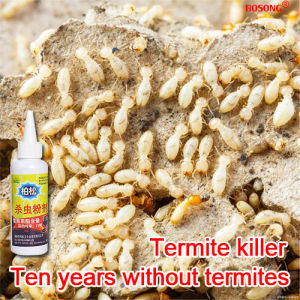 100% Effective Termite Killing Powder: A Comprehensive Guide