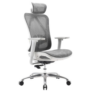 TakeAseat Ergonomic Office Chair SIHOO M57C Mesh Chair Adjustable Lumbar Support 4D Armrests Home Office Easy Self Setup