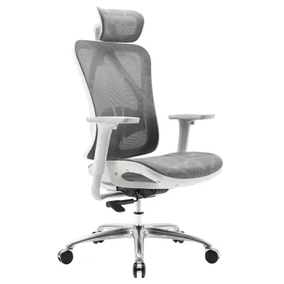 TakeAseat Ergonomic Office Chair SIHOO M57C Mesh Chair Adjustable Lumbar Support 4D Armrests Home Office Easy Self Setup