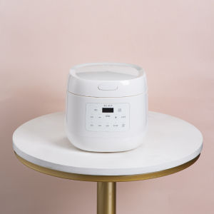 Small White Porcelain Electric Cooker Baby BB Soup Porridge Pot Mini Steamer Porridge for 2 People