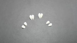 Sacesr 1 Pair Horrific Resin Resin Fangs Simulated Adhesive Dentures Environmentally with Solid Glue Fake Teeth Halloween 9R3H1