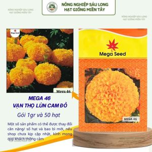 Hạt Giống Vạn Thọ Lùn F1 MEGA 46 Cam Đỏ – Bông To Cây Thấp – Mega Seed
