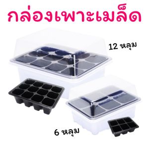 กล่องเพาะเมล็ด อุปกรณ์จัดสวน 6 และ12 หลุม (ฝาครอบใส) เหมาะสําหรับ เพาะกล้า เพาะต้นอ่อน หรือ เพาะเมล็ดแคสตัส (กระบองเพชร)