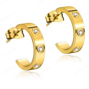 Titanium Steel Diamond Magnetic Therapy Earrings