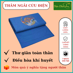 Thảm Điện Ngải Cứu Hỗ Trợ Đau Nhức Xương Khớp Người Lớn Tuổi Sưởi Ấm Giữ Ấm Toàn Thân