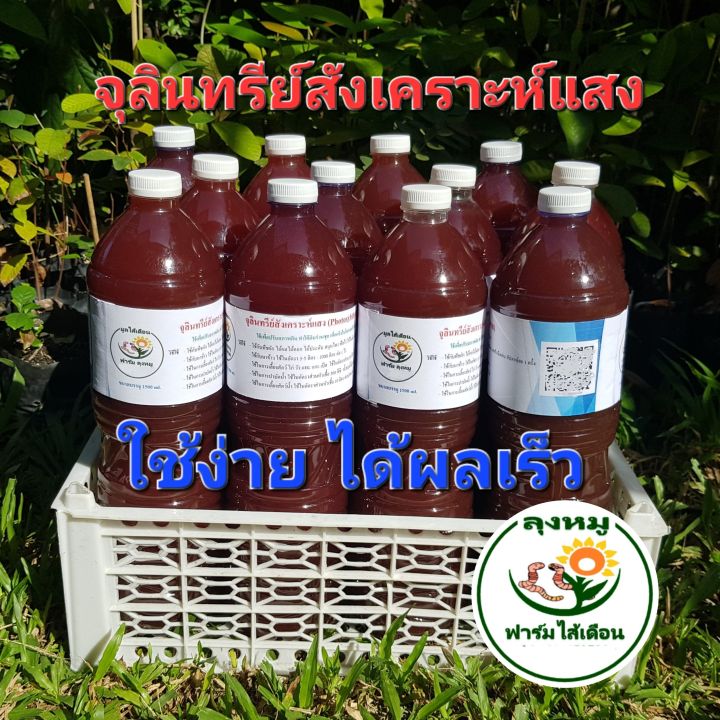 หัวเชื้อจุลินทรีย์สังเคราะห์แสง PSB เข้มข้น 1.5 ลิตร