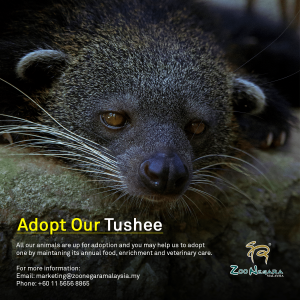 Zoo Negara - Adopt our Tushee