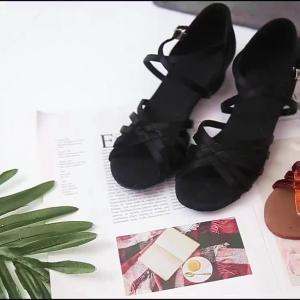 Children Latin Dance Shoes & Ballroom Tango Dancing Shoes: A Comprehensive Guide