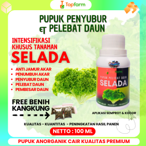 Pupuk Selada Keriting / Pupuk Selada Hidroponik / Pupuk Dasar Tanaman Selada / Pupuk Untuk Selada Hidroponik / Pupuk Untuk Tanaman Selada / Pupuk Khusu Selada