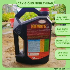 Phân bón hữu cơ Humic Humate vi lượng phục hồi cây ra rễ mạnh PB14