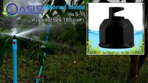 สปริงเกอร์ หัวฉีดสเปรย์ มินิ ใส่ได้ทั้งเกลียว 1/2" แพ็ค 50 ชิ้น ร้านพรเกษตร