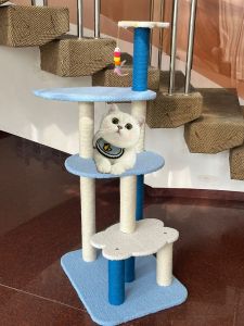 Cat Tree Rumah kucing cat condo Mainan Kucing Tempt Tidur Hewan