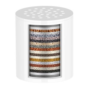 Homi Cleanse Shower Filter | For Rain Handheld Fixed Showers