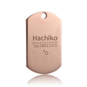 Personalized Dog Tag Stainless Steel Name Engraved ID Tags For Dog Collar Anti-Lost Pet Nameplate Pendant For Pitbull Labrador