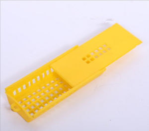 Bee Queen Cage Karantina Lebah Ratu Alat Ternak Lebah Bentuk Kotak Ori - Kurungan Ratu Cerana