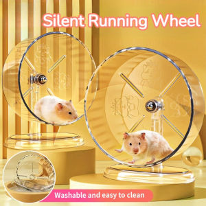 Hamster Running Wheel Silent Exercise Toy Small Pet Cage Decor Detachable Stable Easy Clean