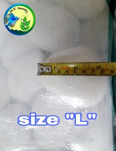 BATU KORAL PUTIH KUPANG 1 KARUNG  10 KG DEKORASI TAMAN DAN POT