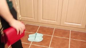 6 PCS Shoes Deodorant Ball Sneaker Sock Wardrobe Odor Neutralizing Air Freshener Purifier Pewangi Kasut