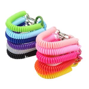 WISH BOUTIQUE Hang The School Card With Ring Hooks Gift Spiral Spring Coil Key Ring Key Chain Holder Spring Keychain Lanyard Spring Hook With Metal Clasp Keyring Key Hooks Anti-lost Lobster Clasp Stretch Spring Coil