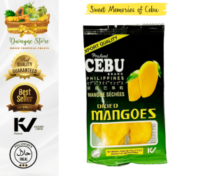 CEBU DRIED MANGO SLICE 20G