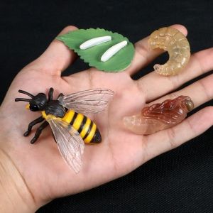 LIVELYN 4 Pcs/Set Miniature Size Life Cycle Figurines Montessori Teaching Aids Educational Miniature Animal Growth Cycle Cute Cognitive Toy Set Butterfly Cycle Figurines for Kids Educational Play