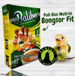 SEMPATI Balibu Ebod Jaya Pakan Bubur Burung Anakan Piyek Burung Lovebird Lolohan Spet PKNBAEJ