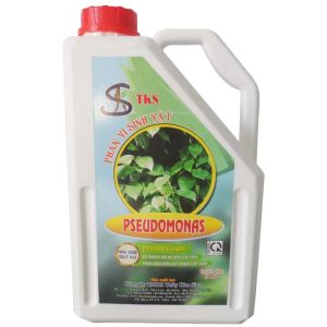 PSEUDOMONAS Chê Phẩm Phòng Trừ Bệnh Héo Xanh  Vàng Lá Thối Cổ Rễ - Can 2 lÍt