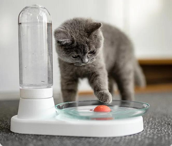 PET FOUNTAIN Cat Automatic Water Dispenser Non-Electric Cat Water