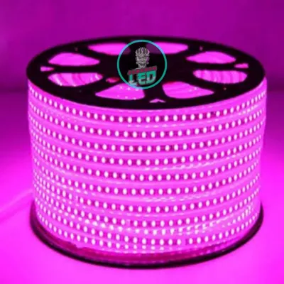 LAMPU LED STRIP 1ROLL (100 METER FULL) GRATIS 5 SOKET AC 220V / LAMPU SELANG OUTDOOR 5050 SMD