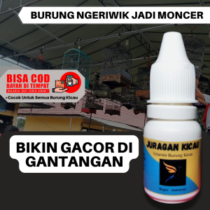 Juragan Kicau Doping Vitamin Penggacor Semua Burung Kicau Untuk Lomba Dan Harian
