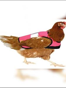 Áo khoác mới dành cho gà của Quần áo và phụ kiện cho thú cưng Đồ dùng cho thú cưng: Áo phản quang cho vịt và ngỗng
