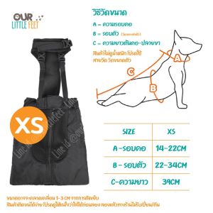 ถุงป้องกันแผลสำหรับน้องหมาเดินลากขา