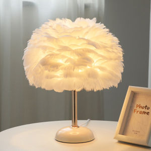 Đèn ngủ lông vũ đế sứ phong cách Bắc Âu sang trọng trang trí phòng khách phòng ngủ My Home DN249