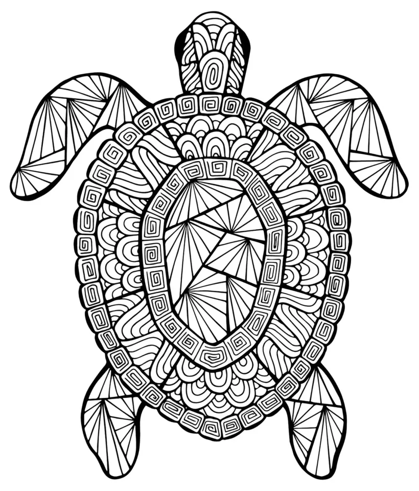 Tô màu Con Rùa Biển - Tranh Tô Màu Cho Bé