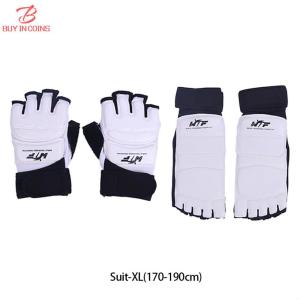 BC 1 Pair Taekwondo Protectors Sanda Training Match Hands Feet Guard Banket Gloves Foot Hand Joint Protective Gear