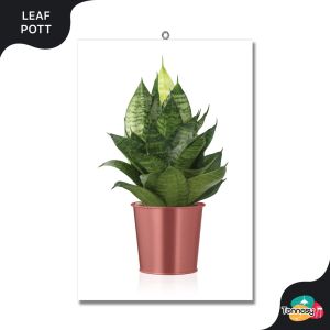 TENNESY HIASAN DINDING BUNGA BOTANICAL SANSEVIERA 20x30CM WALL DECOR PAJANGAN KAYU KAMAR RUMAH
