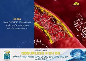 Viên uống dầu cá Nature’s Way Odourless Fish Oil 1000mg hỗ trợ tốt cho mắt và não không mùi hộp 80 viên - Hỗ trợ tốt cho não bộ và thị lực  Góp phần duy trì sức khỏe tổng thể  Không mùi tanh hạn chế ợ dầu cá