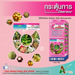 เปิดตาดอก ยืดช่อดอก ดอกมาไว ออกดอกพร้อมกันทั้งต้น ดอกอ้วน ช่อดอกใหญ่ ดอกสมบูรณ์ ติดผลดก (หลายขนาด)