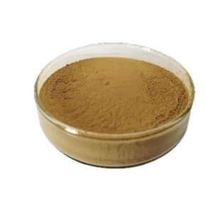 American Ginseng Extract water-soluble powder multiple specifications direct ready shipment full sizes available competitive price for bulk orders