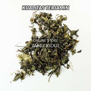 Daun Beluntas Kering 100 gr Liar untuk Diabetes