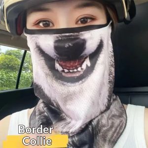 YZLong Riding Sun Mask Summer Funny Veil Animal Face Towel Cat Ear Hanging Integrated Protective Mask