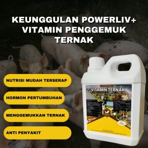Vitamin penggemuk Babi  paling ampuh Booster Babi cepat besar gemuk Sehat Vitamin Babi cepat germuk