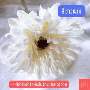 ดอกเบญจมาศ ดอกไม้ปลอม พรอพ ตกแต่งบ้าน มีหลายสีให้เลือกด้านใน เพิ่มความน่าอยู่ให้กับบ้าน