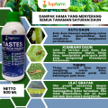 Pestisida Topfarm / Obat Hama Untuk Buah Dan Sayuran / Obat Hama Daun Sayuran /Obat Hama Kutu Daun Sayuran Pare / Obat Hama Sayuran Dan Pupuk Buah / Obat Daun Untuk Tanaman Sayuran / Obat Hama Sayuran Kumbang Daun. 
