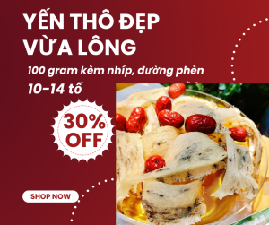 100Gram Yến Thô Vừa Lông Kèm Nhíp Táo Đường Phèn