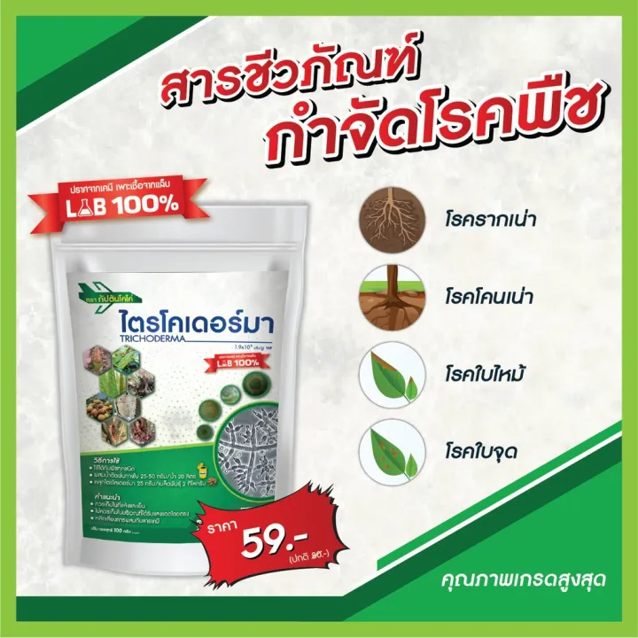 ไตรโคเดอร์มาผง เพาะจาก LAB ป้องกันโรคพืช