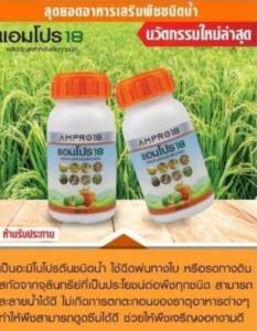 แอมโปร18 ชนิดน้ำ วิตามินบำรุงพืชเพิ่มการเจริญเติบของกิ่ง ก้าน ใบ และเพิ่มรสชาติของผลผลิต