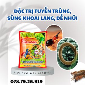 Siêu Nhân Fungicide for Garden Insect Control - Round Grains 1KG for Anti-Fungi/Weed/Typhus/Citrus/Khaoilang/Pavement Bugs 1000m2