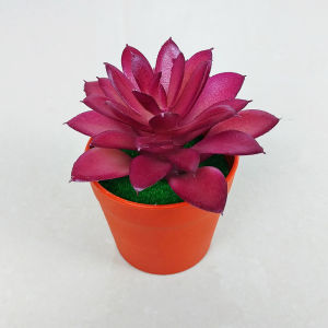 Tanaman Hias Artificial Pot Bunga Kaktus Sukulen Mini Plastik Ornamen Hiasan Dekorasi Ruangan PBP64