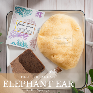 KALLA SPONGE ฟองน้ำธรรมชาติ ชนิด Elephant Ear สีเหลือง